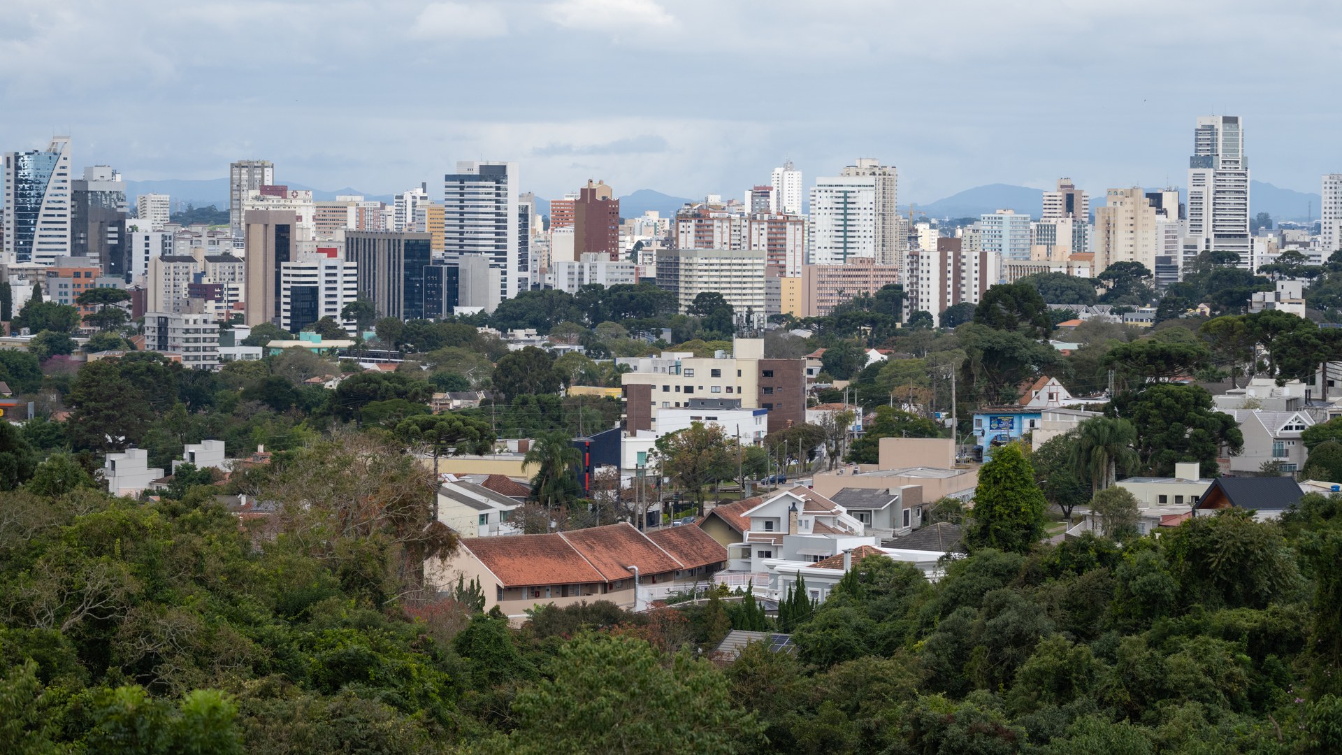 Vista panorâmica da cidade de Curitiba, com os prédios do centro ao fundo e uma faixa de mata verde em primeiro plano